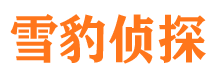 敦煌市调查公司